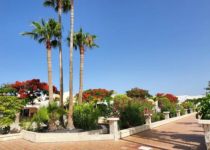 Lejlighed Palms Patio *